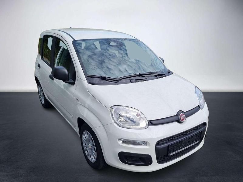 Neu Fiat Panda 69 PS (50 kW) 2025 Gelato weiß Kleinwagen