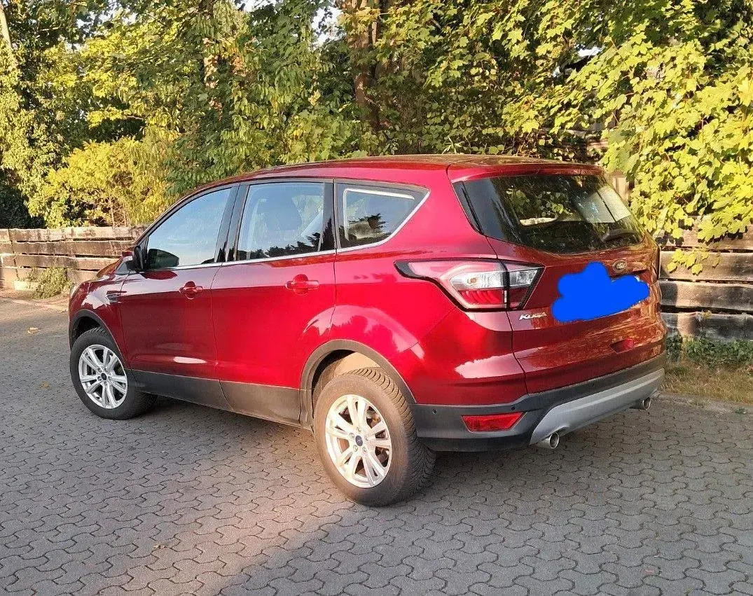 Gebraucht Ford Kuga Trend 120 PS (88 kW) 2019 Rot SUV
