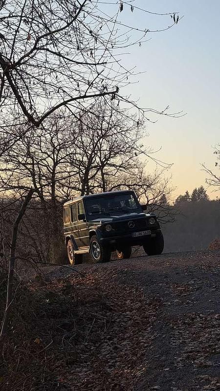 Gebraucht Mercedes G500 296 PS (217 kW) 1999 SUV