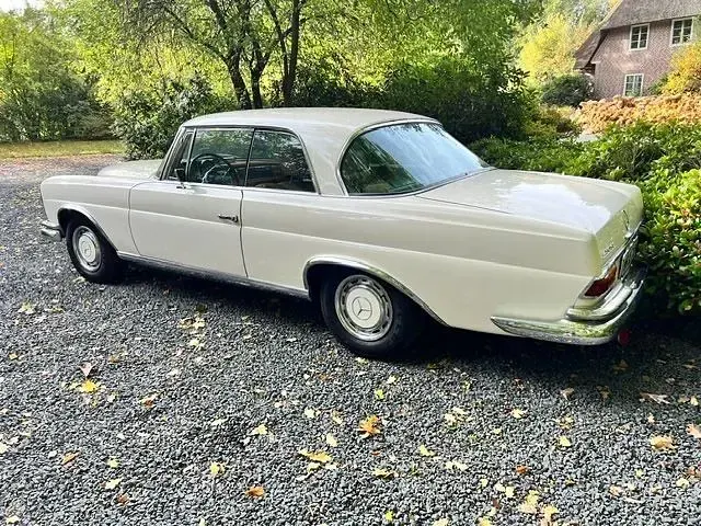 Gebraucht Mercedes W111 150 PS (110 kW) 1969 Weiß