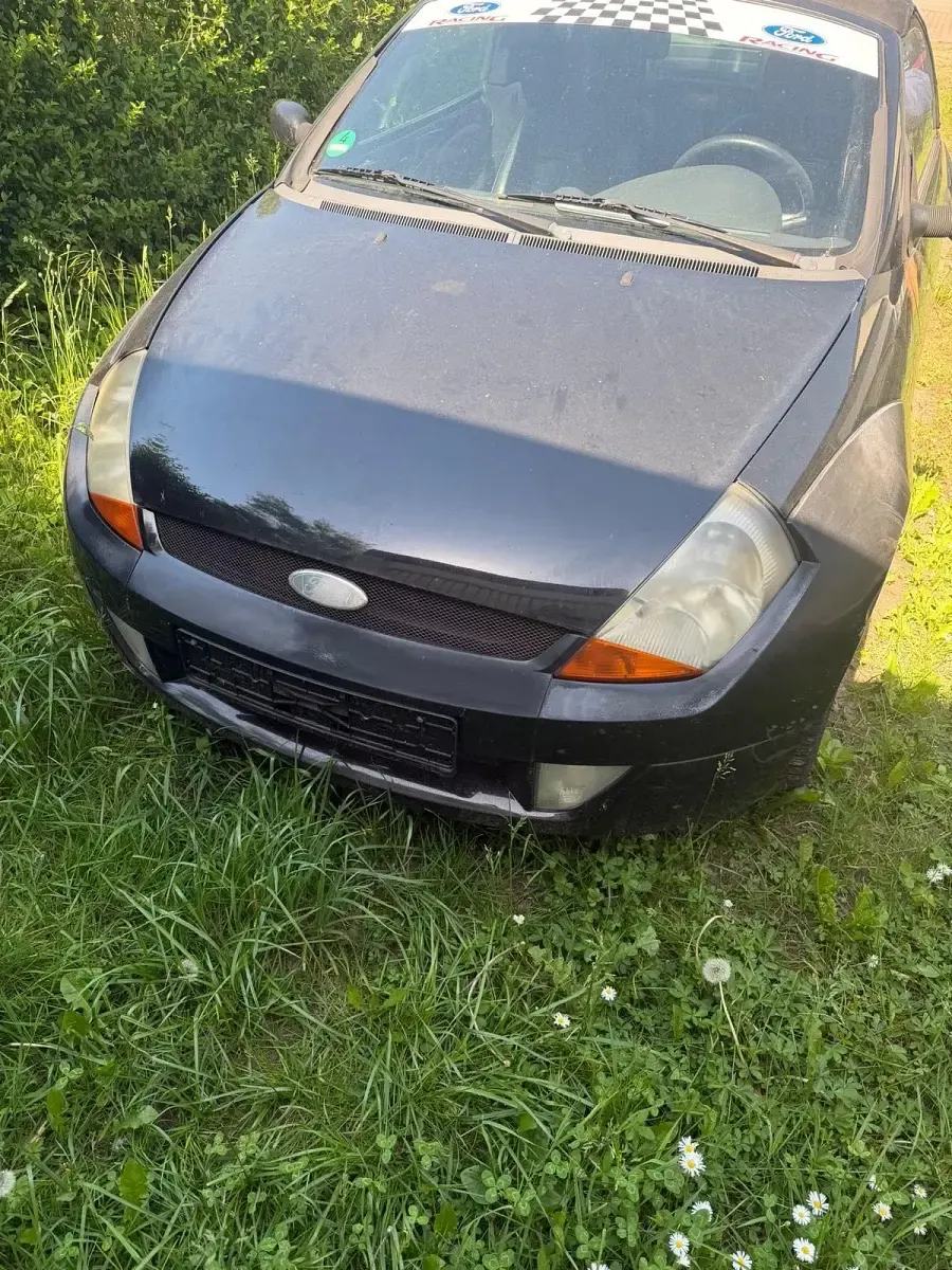 Gebraucht Ford StreetKa 95 PS (69 kW) 2003 Schwarz Cabrio