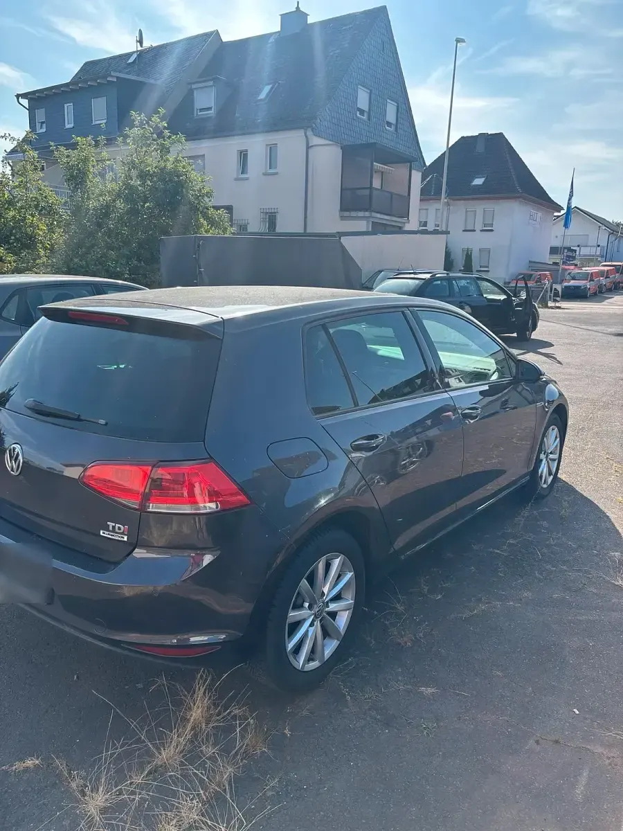 Gebraucht VW Golf VII 110 PS (80 kW) 2015 Grau Kleinwagen