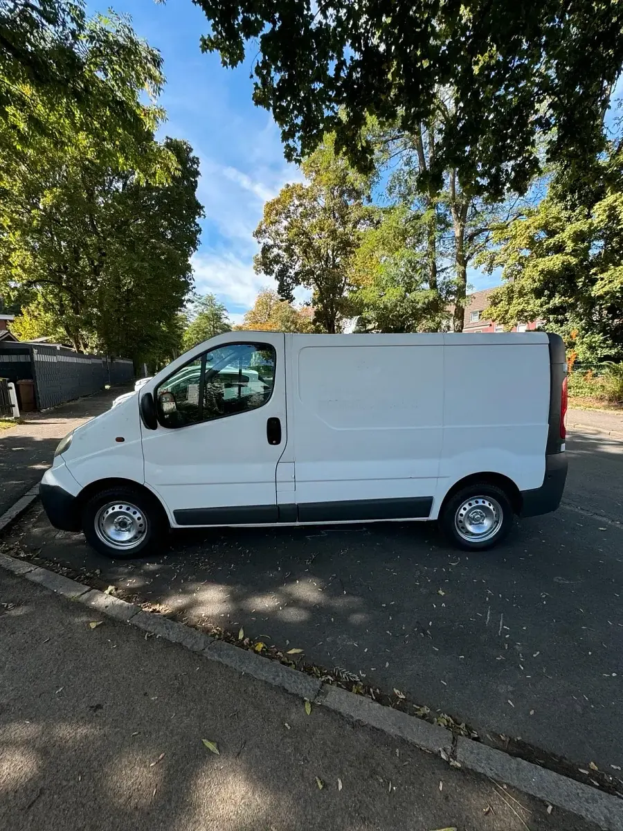 Gebraucht Opel Vivaro 2009 Weiß Van / Kleinbus