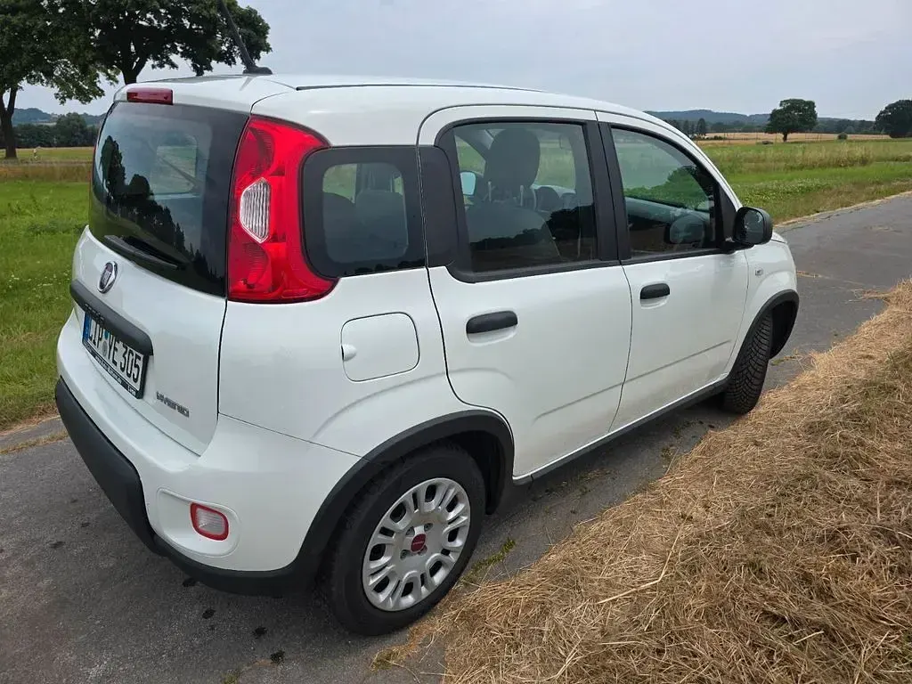 Gebraucht Fiat Panda 69 PS (50 kW) 2023 Weiß Kleinwagen