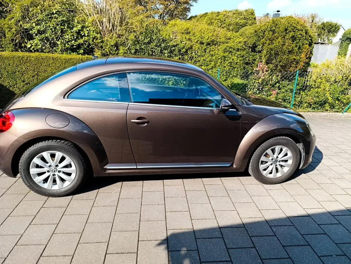 Używany VW Beetle Design 105 KM (77 kW) 2014 Brązowy Hatchback