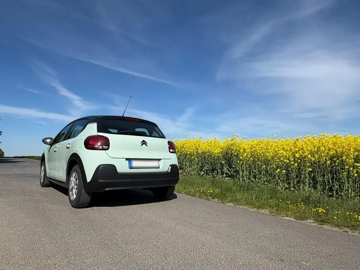 Used Citroën C3 82 HP (60 kW) 2017 Green Sedan