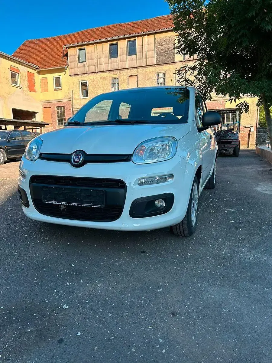 Gebraucht Fiat Panda Easy 69 PS (50 kW) 2019 Kleinwagen