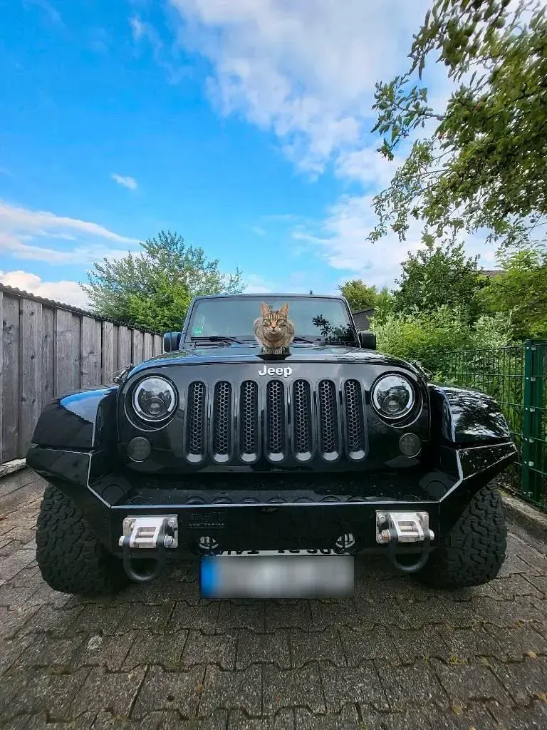 Gebraucht Jeep Wrangler Sahara 284 PS (208 kW) 2015 Schwarz SUV