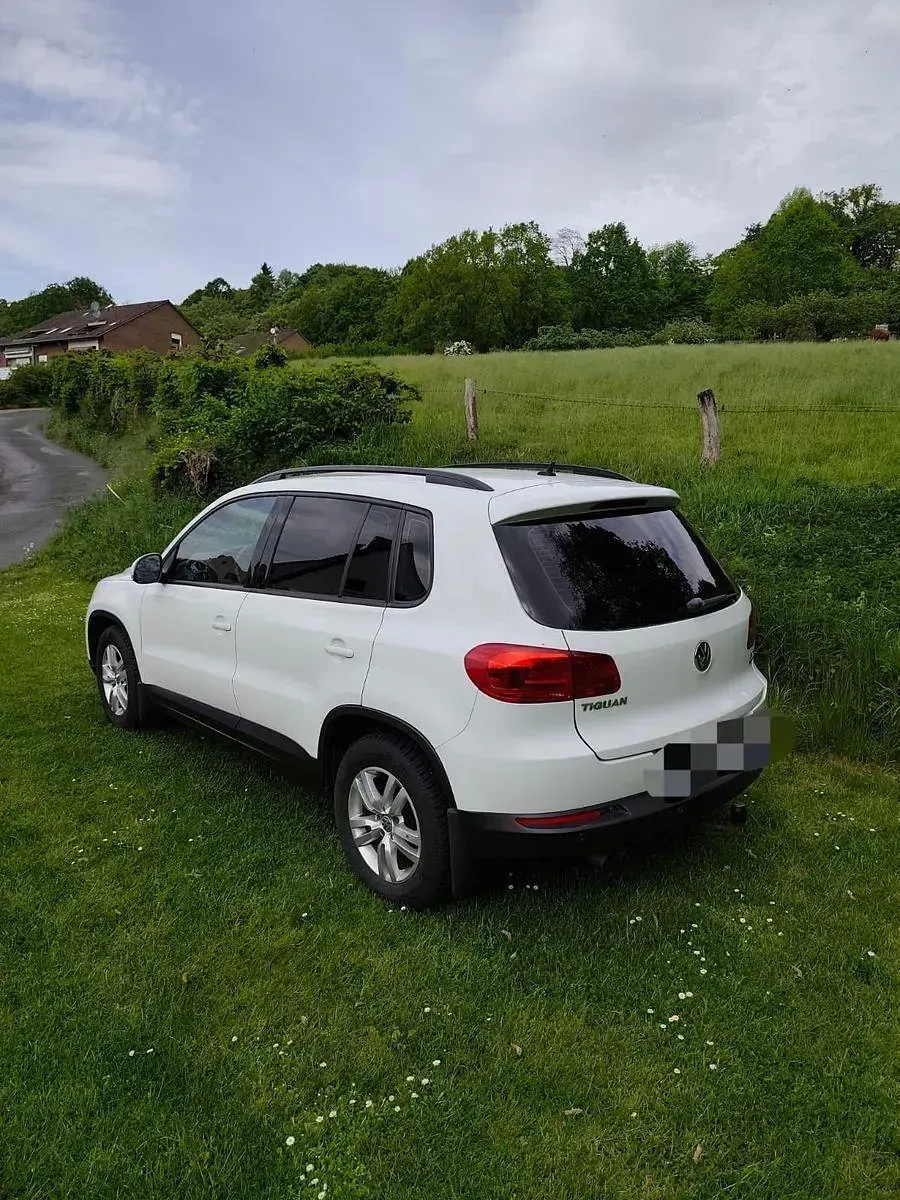 Usata VW Tiguan 110 CV (80 kW) 2015 Bianco SUV