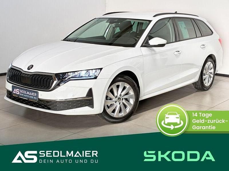 Gebraucht Skoda Octavia Selection 150 PS (110 kW) 2024 Moonweiß perleffekt Kombi