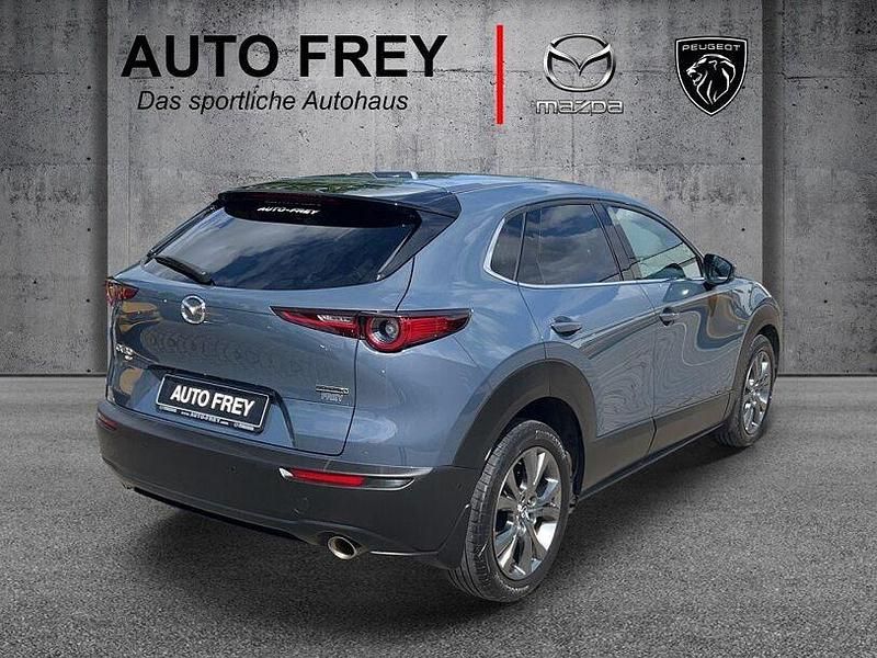 Gebraucht Mazda CX-30 Selection 179 PS (131 kW) 2020 Grau SUV