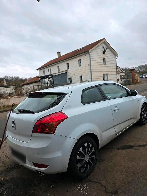 Gebraucht Kia Ceed 125 PS (91 kW) 2012 Weiß Kleinwagen