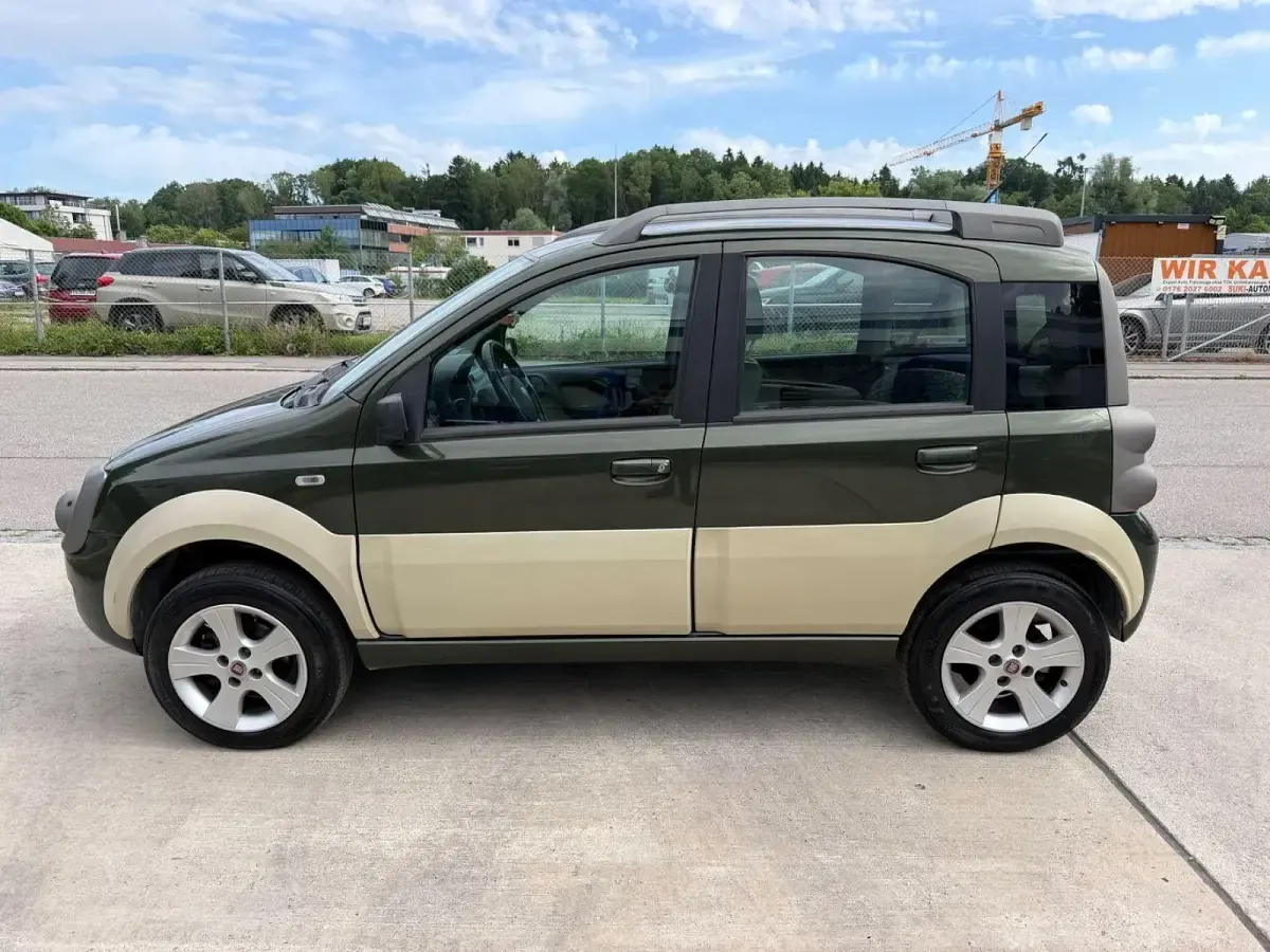 Gebraucht Fiat Panda 4x4 69 PS (50 kW) 2006 Grün Kleinwagen