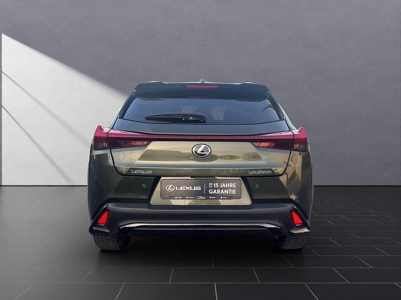 Gebraucht Lexus UX 250h Sport Line 184 PS (135 kW) 2023 Grün SUV