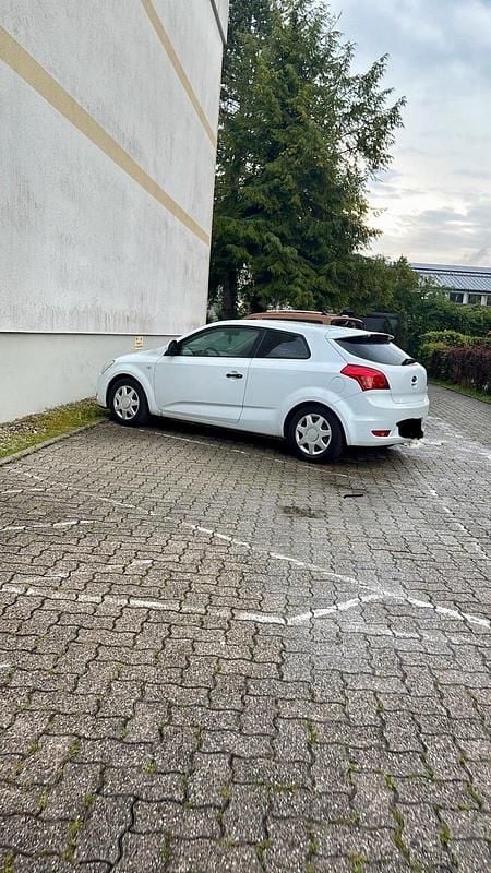 Używany Kia Ceed 116 KM (85 kW) 2008 Biały Hatchback