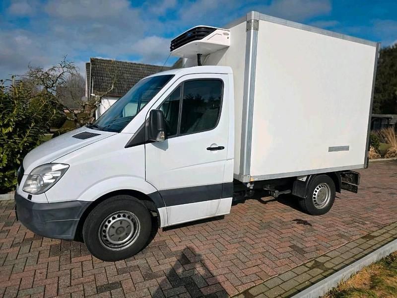 Second-hand Mercedes Sprinter 150 CP (110 kW) 2008 Alb