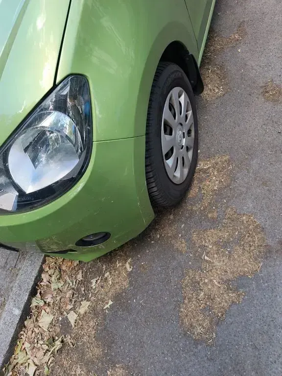 Gebraucht Skoda Citigo G-TEC Ambition 68 PS (50 kW) 2015 Grün Kleinwagen