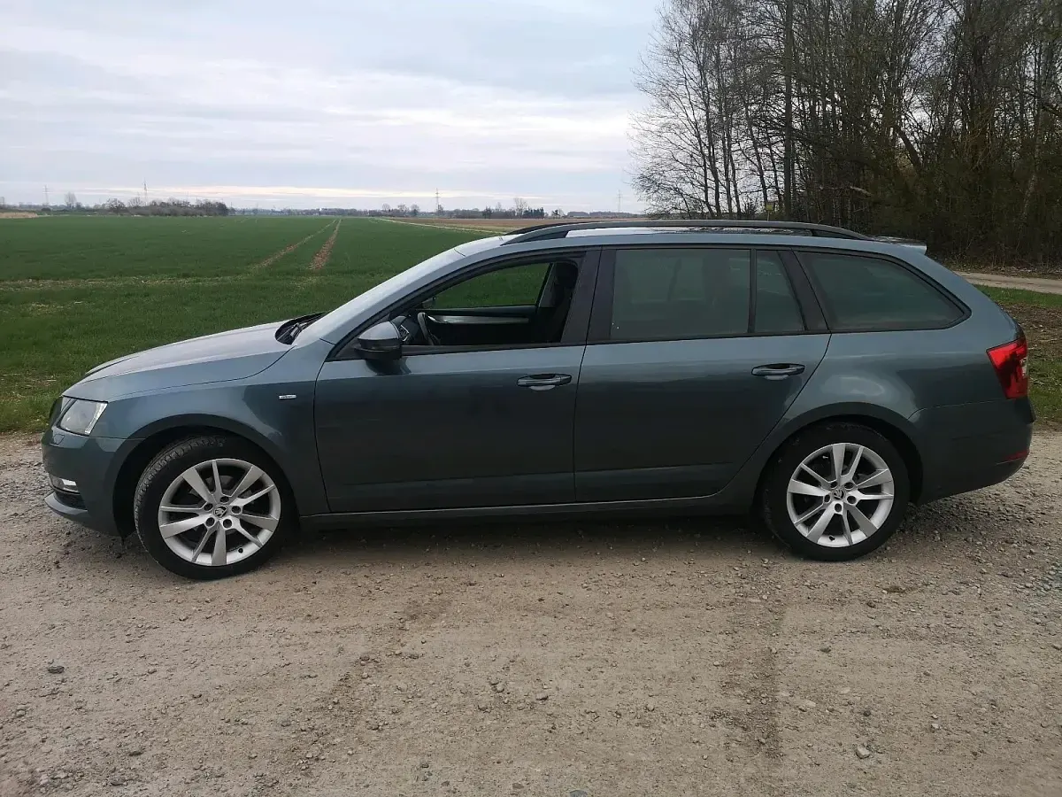 Gebraucht Skoda Octavia 116 PS (85 kW) 2017 Kombi