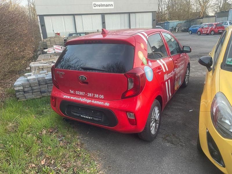 Gebraucht Kia Picanto 67 PS (49 kW) 2021 Rot Kleinwagen