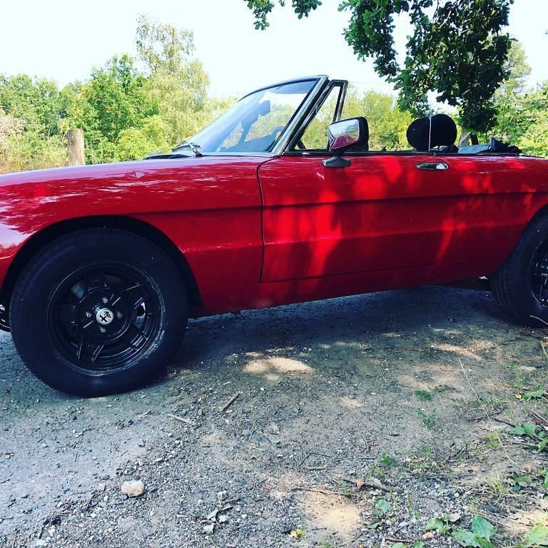 Gebraucht Alfa Romeo Spider 111 PS (81 kW) 1981 Rot Cabrio