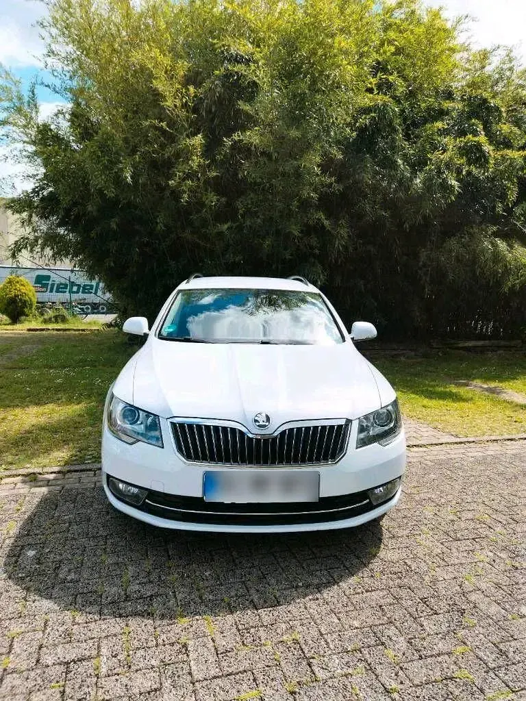 Gebraucht Skoda Superb 140 PS (102 kW) 2015 Weiß Kombi