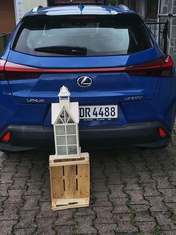 Gebraucht Lexus UX 250h E-FOUR Luxury Line 184 PS (135 kW) 2019 Blau SUV