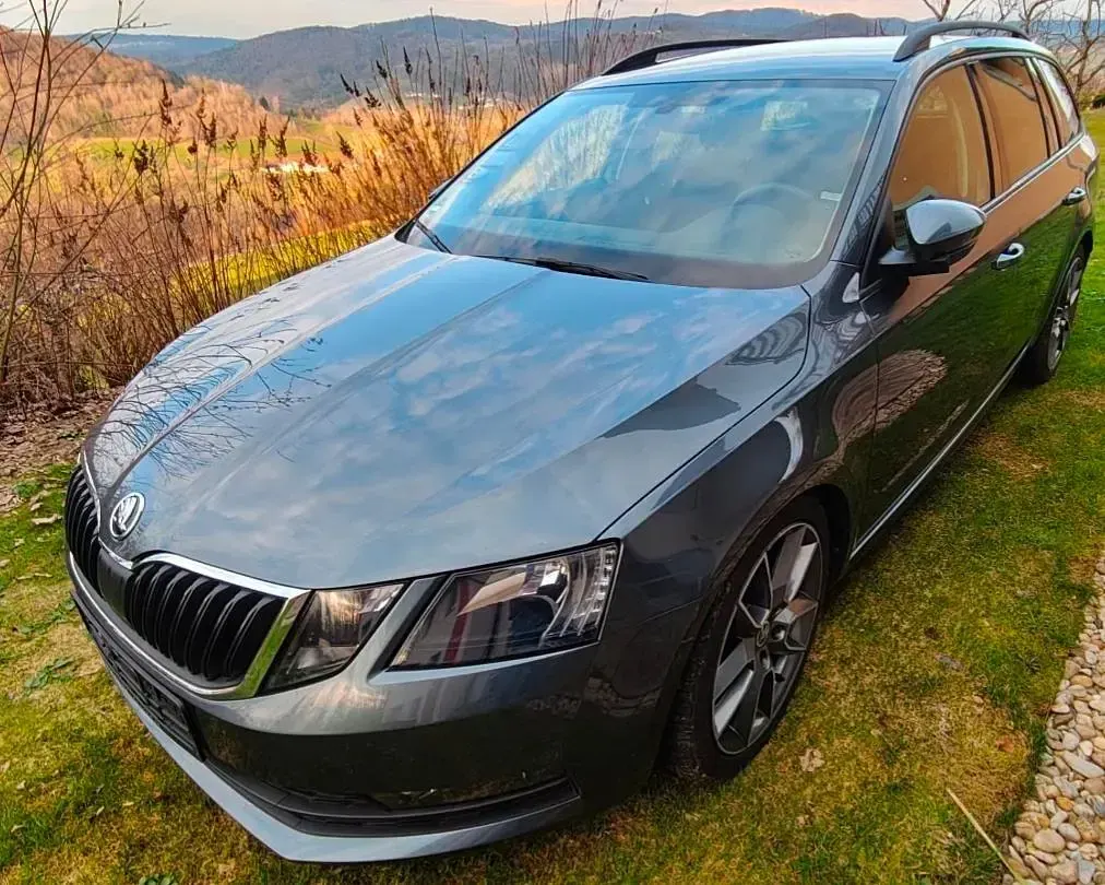 Gebraucht Skoda Octavia 150 PS (110 kW) 2019 Grau Kombi