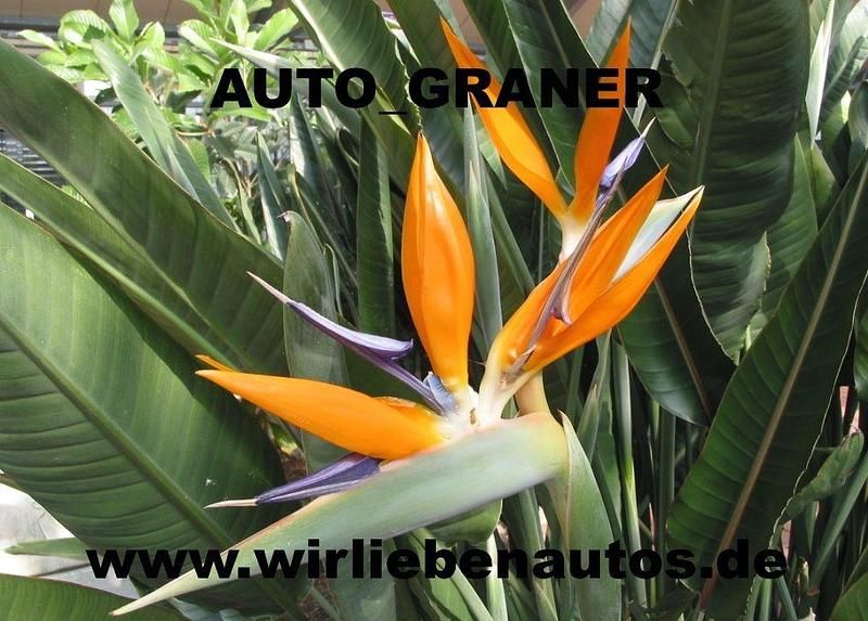 Grau Gebraucht 2020 Mini John Cooper Works Kleinwagen | 21.980 € (Superpreis) - Bild 1/3