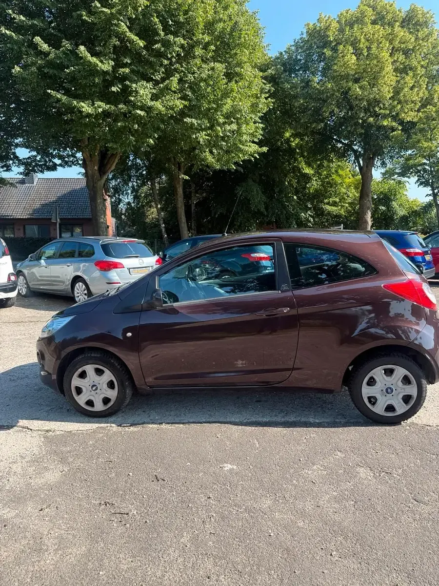 Gebraucht Ford Ka Titanium 69 PS (50 kW) 2012 Braun Kleinwagen