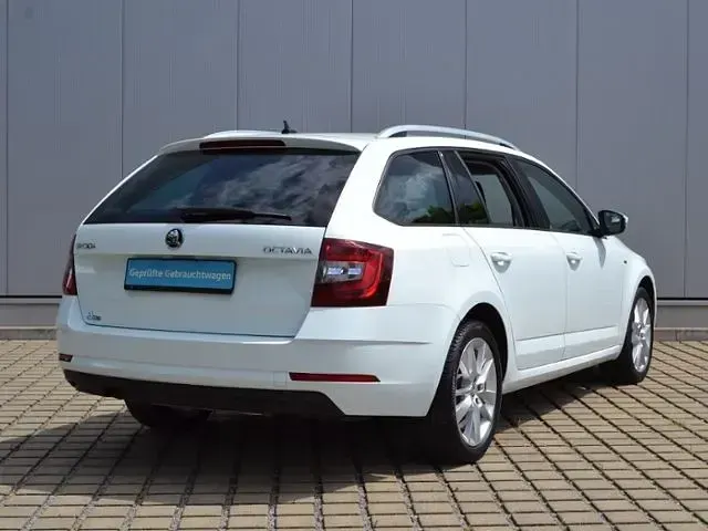 Gebraucht Skoda Octavia Business Line 116 PS (85 kW) 2018 Weiß Kombi