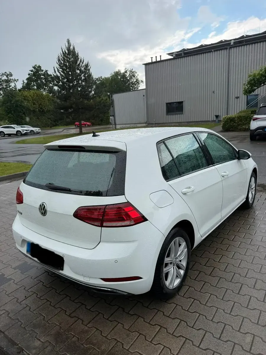 Gebraucht VW Golf VII 150 PS (110 kW) 2019 Weiß Kleinwagen