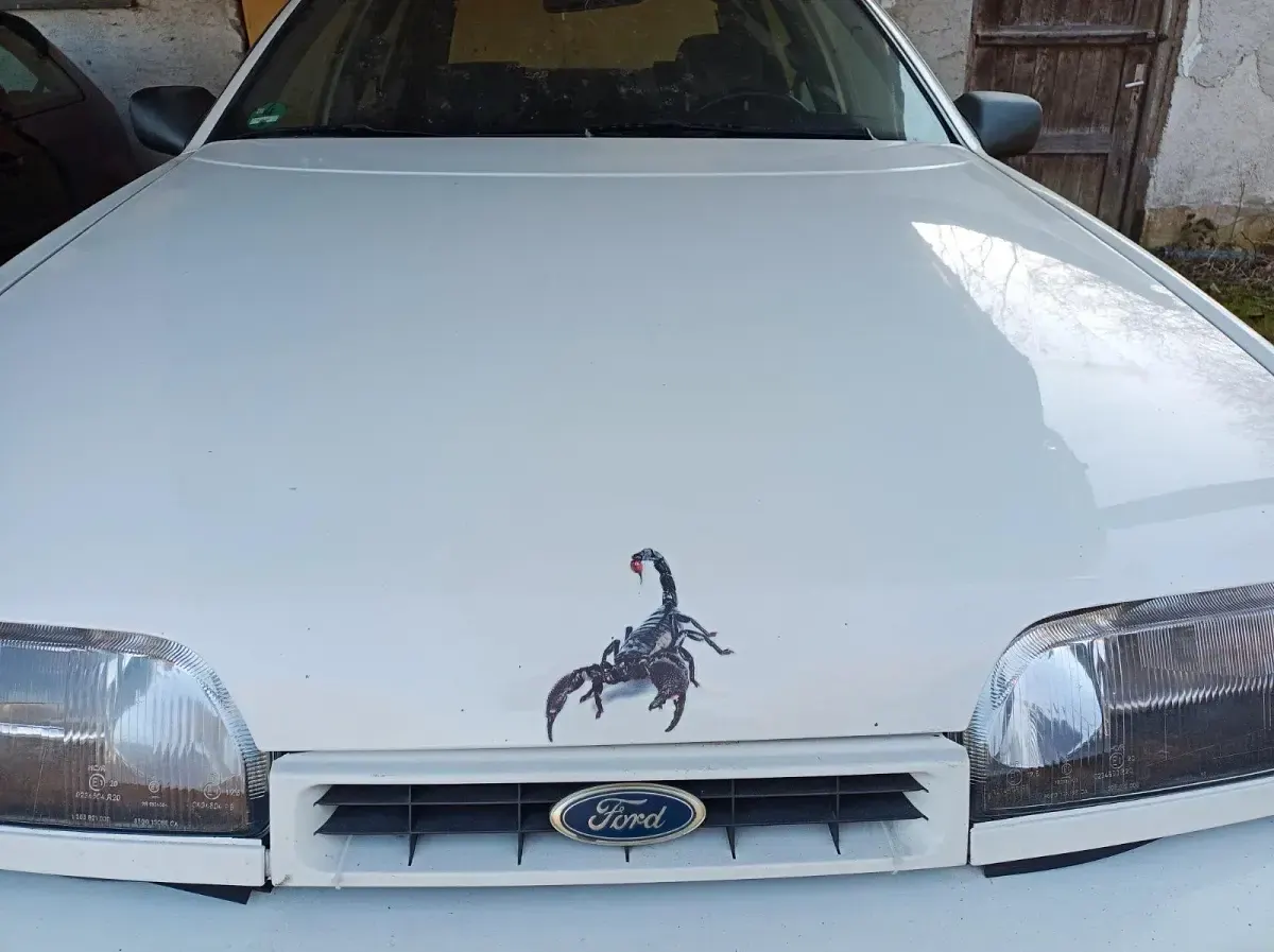 Gebraucht Ford Scorpio 120 PS (88 kW) 1990 Weiß Limousine
