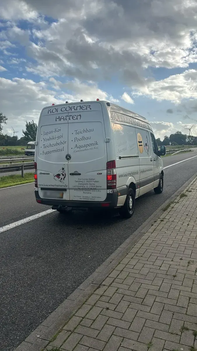 Gebraucht Mercedes Sprinter 109 PS (80 kW) 2008 Weiß