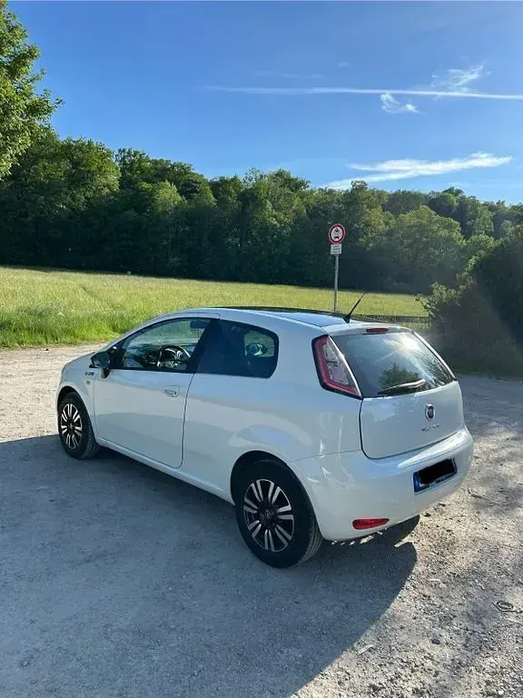 Gebraucht Fiat Punto Young 69 PS (50 kW) 2015 Weiß Kleinwagen