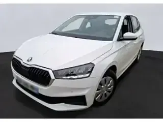 Gebraucht Skoda Fabia Active 65 PS (47 kW) 2022 Kleinwagen