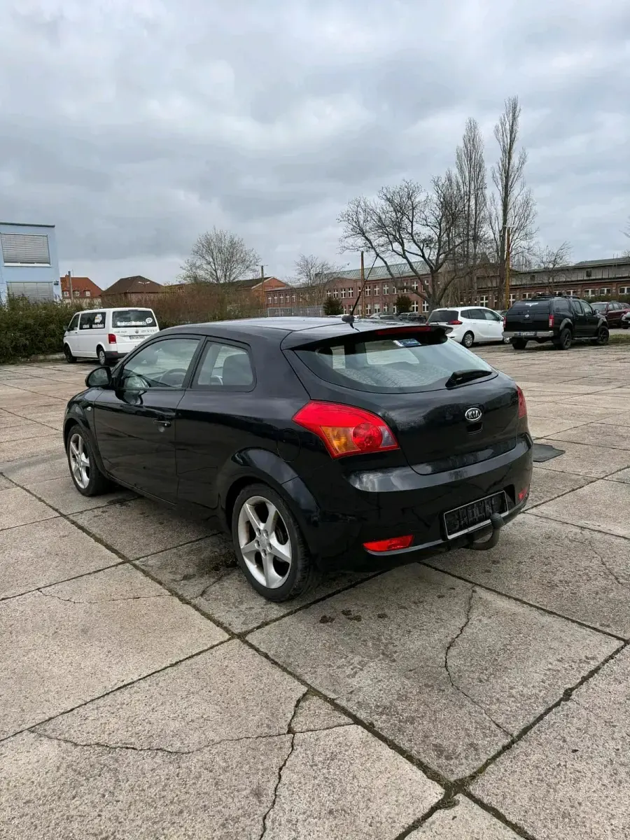 Brugt Kia Ceed 125 HK (91 kW) 2009 Sort Hatchback