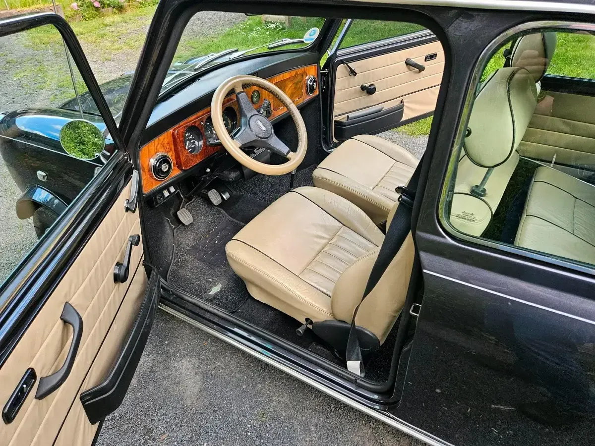 Gebraucht Rover Mini 1996 Grau Kleinwagen