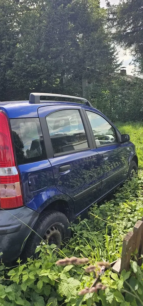 Gebraucht Fiat Panda 4x4 60 PS (44 kW) 2009 Blau Kleinwagen