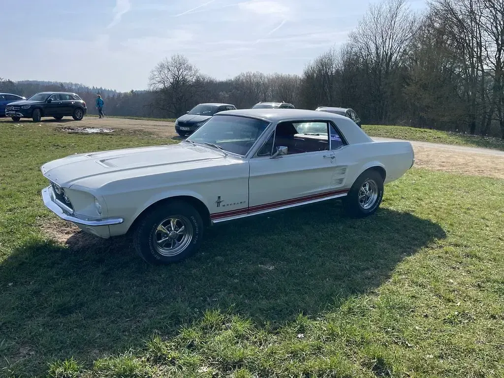 Gebraucht Ford Mustang 190 PS (139 kW) 1967