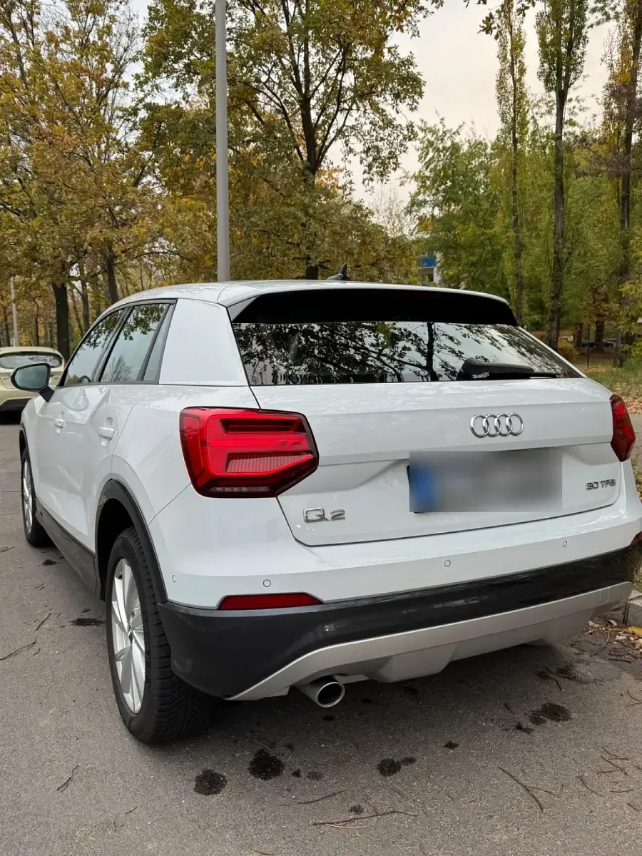 Gebraucht Audi Q2 115 PS (84 kW) 2019 Weiß SUV