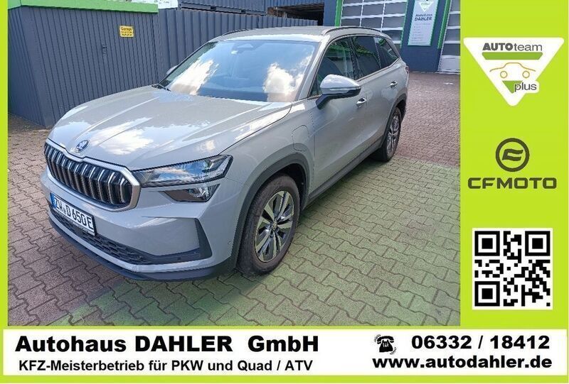 Grau Gebraucht 2024 Skoda Kodiaq Selection SUV | 45.750 € (Teuer) - Bild 1/4