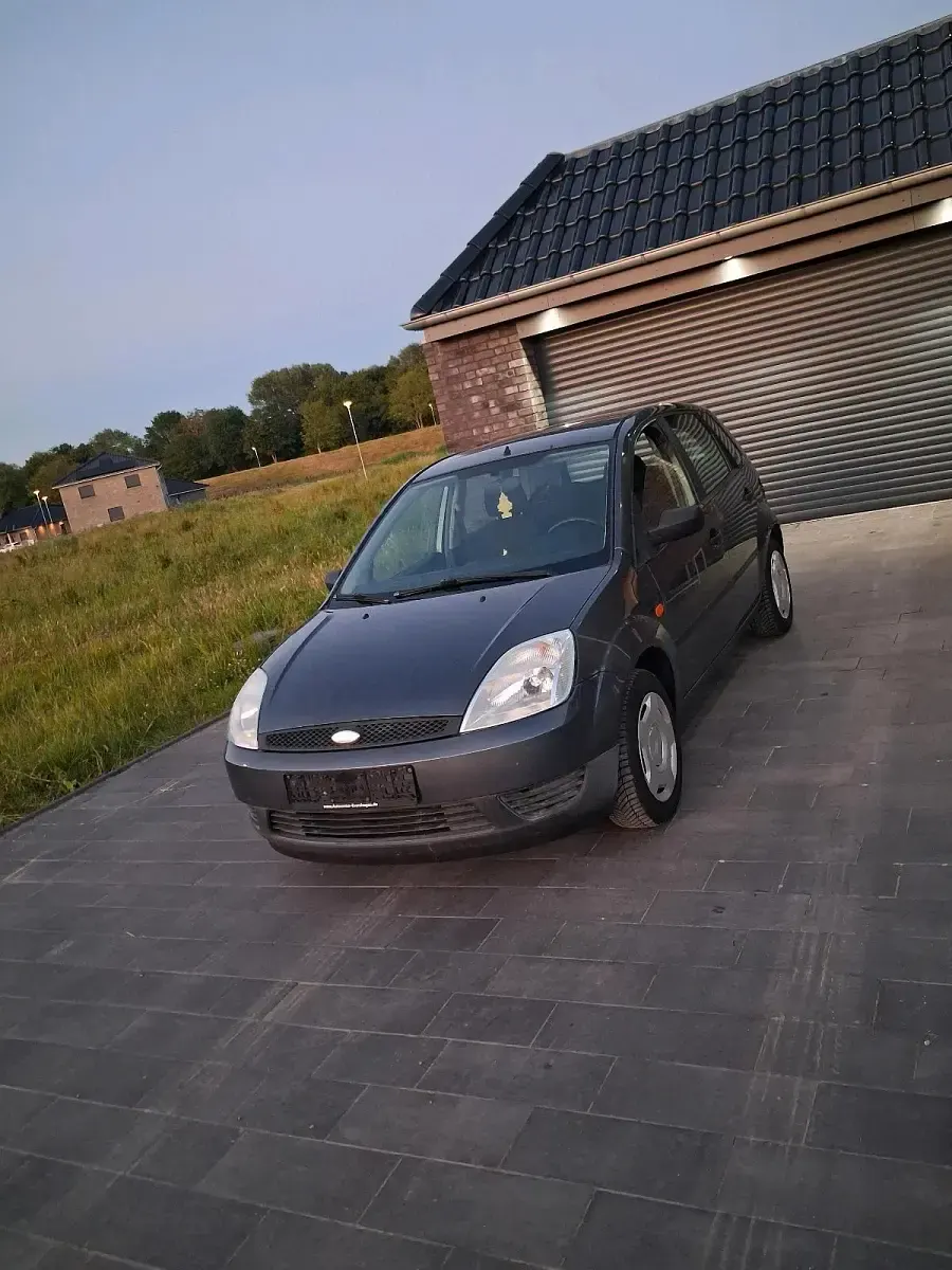 Gebraucht Ford Fusion 69 PS (50 kW) 2005 Grau Kleinwagen
