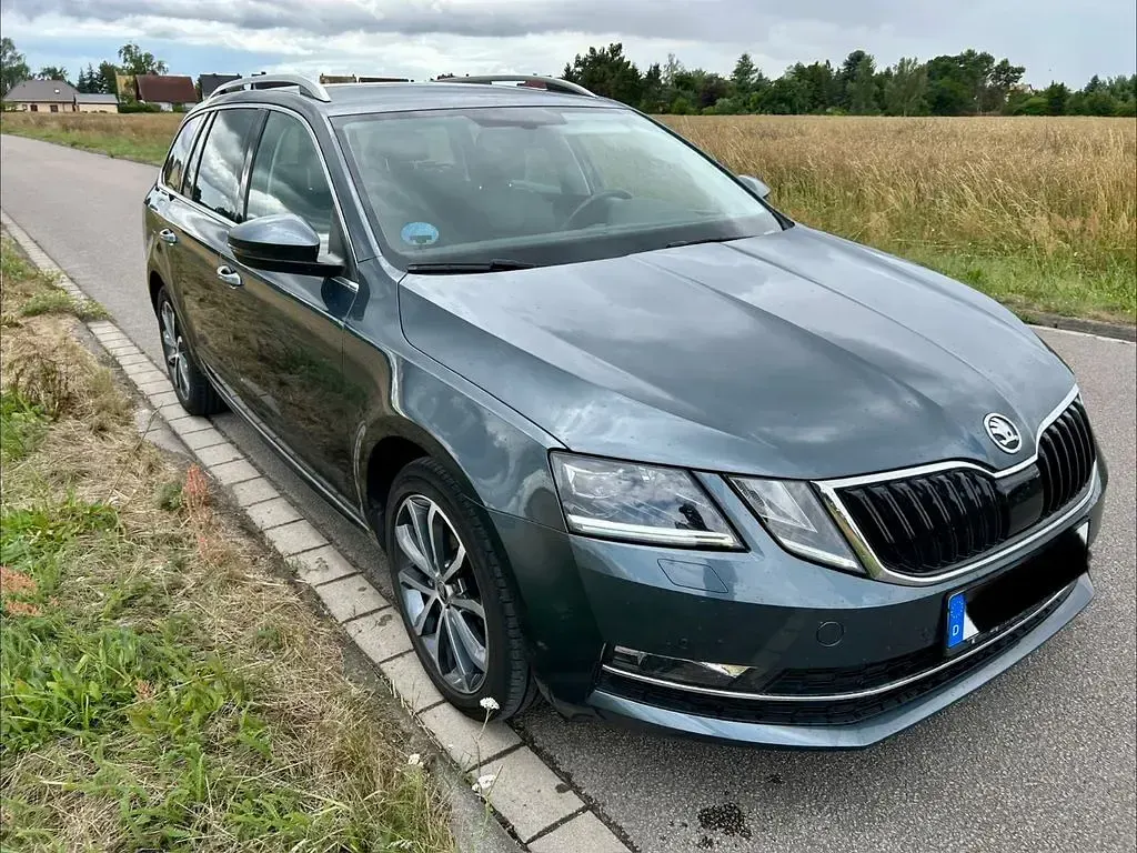 Gebraucht Skoda Octavia Style 150 PS (110 kW) 2019 Grau Kombi