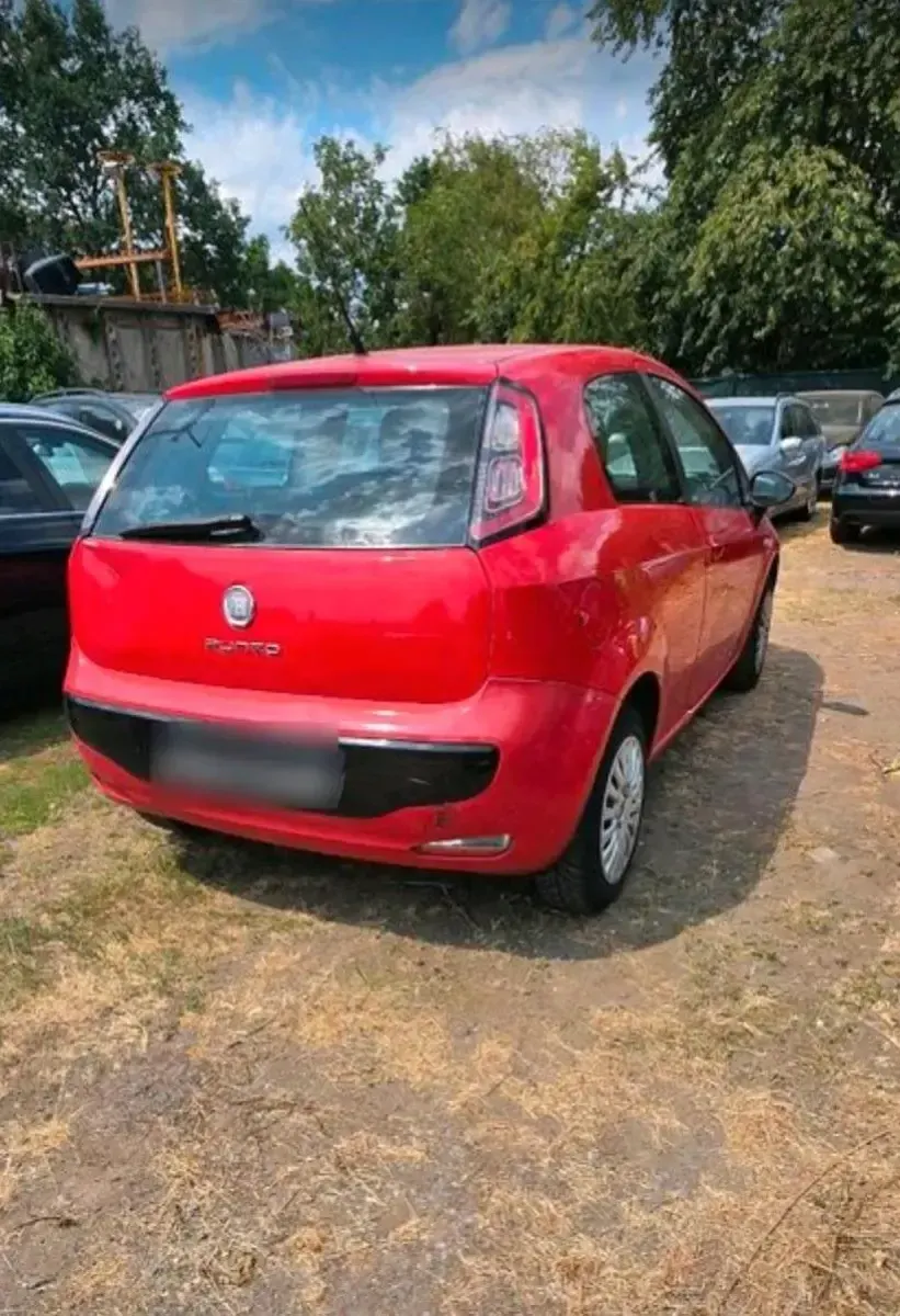Gebraucht Fiat Punto 77 PS (56 kW) 2011 Rot Kleinwagen