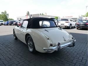 Gebraucht Austin Healey 3000 MK III 150 PS (110 kW) 1966 Beige Cabrio