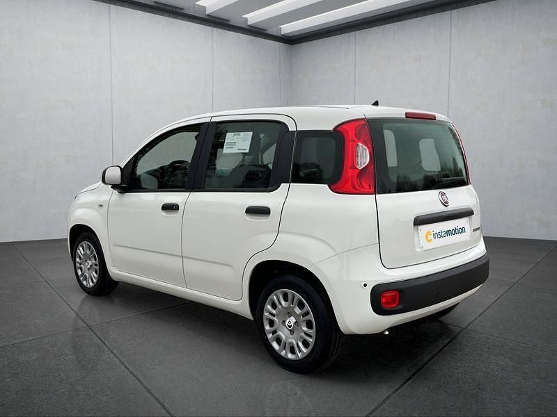 Weiß Neu 2025 Fiat Panda Kleinwagen | 14.999 € (Fairer Preis) - Bild 1/2
