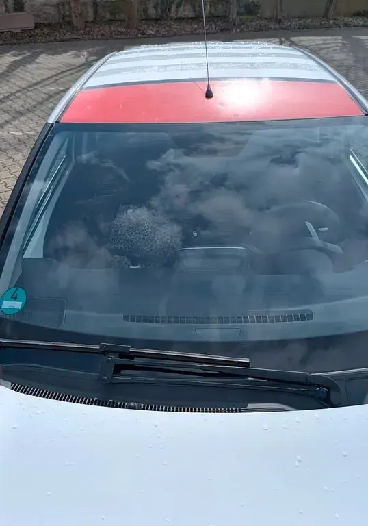 Gebraucht Citroën C1 SELECTION 69 PS (50 kW) 2016 Rot Kleinwagen