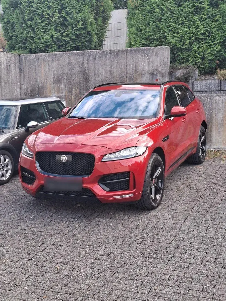 Gebraucht Jaguar F-Pace R-Sport 300 PS (220 kW) 2017 Rot SUV
