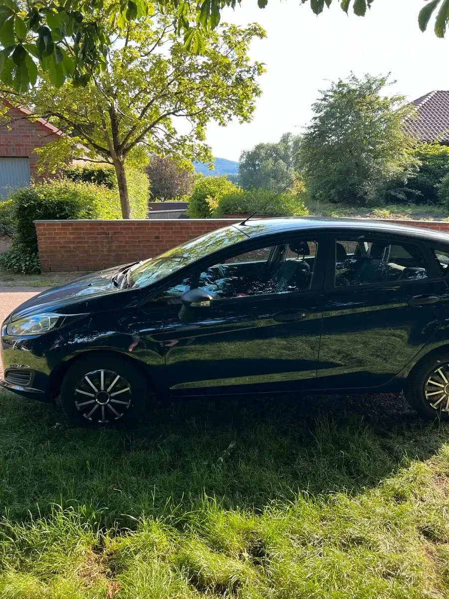 Gebraucht Ford Fiesta 2014 Blau Kleinwagen