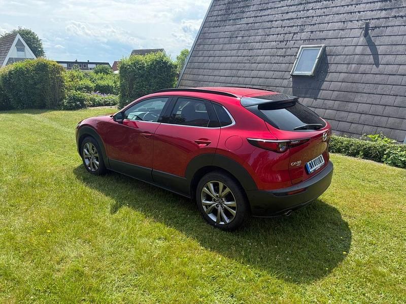 Gebraucht Mazda CX-30 Selection 150 PS (110 kW) 2020 Rot SUV